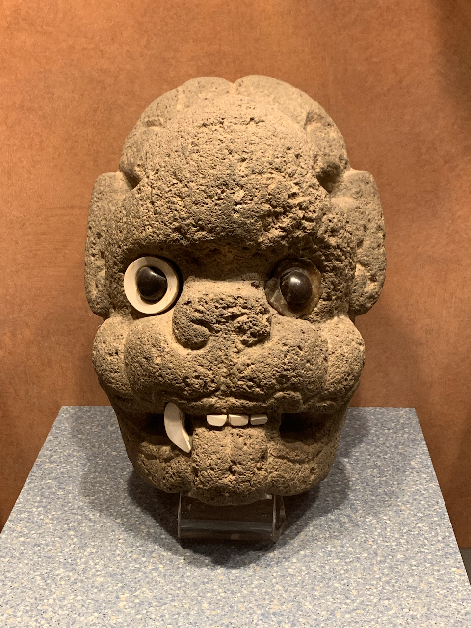 FANG NATIONAL MUSEUM OF ANTHROPOLOGY MEXICO CITY