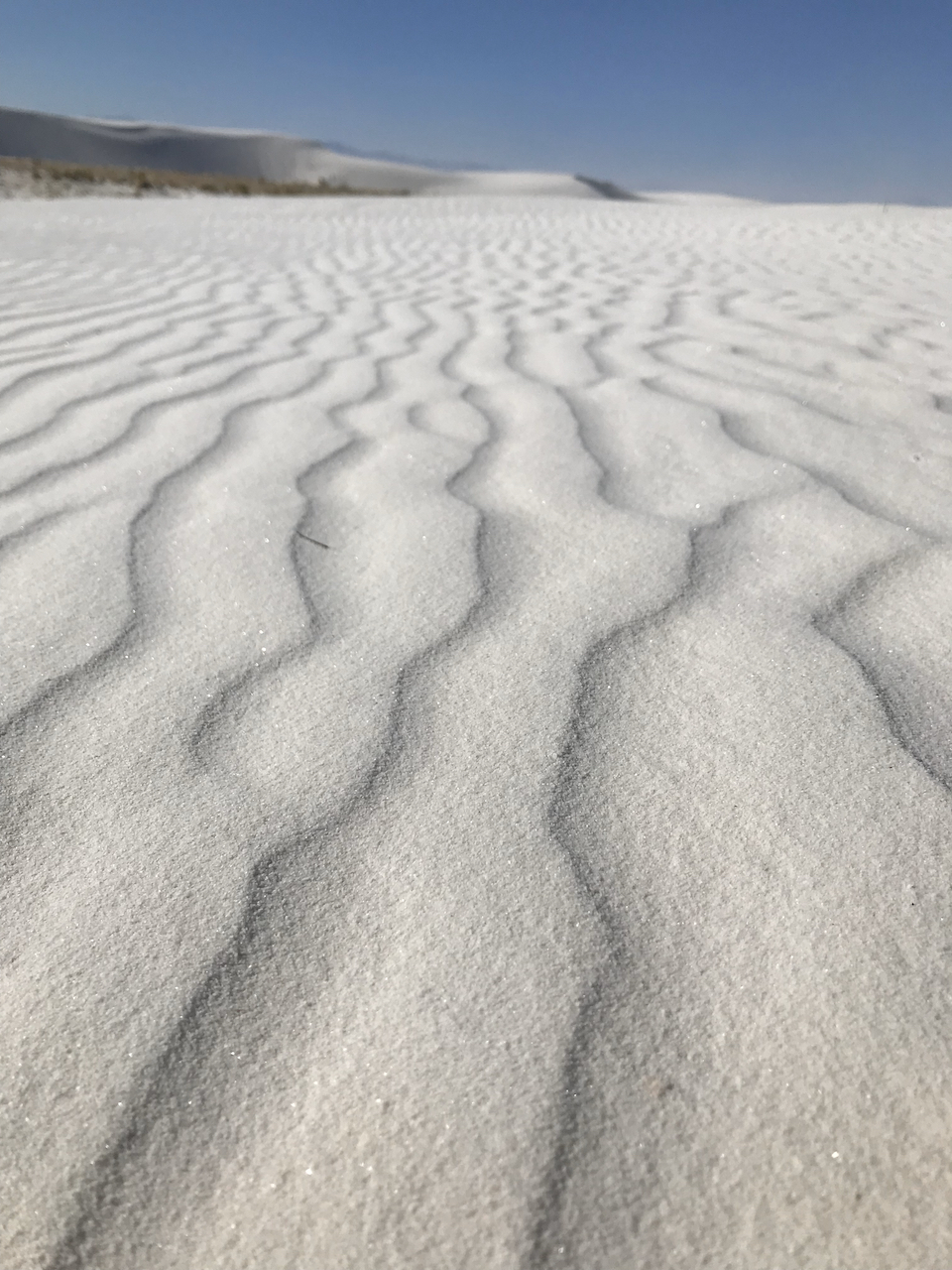 PLANETARY CARDIOGRAM