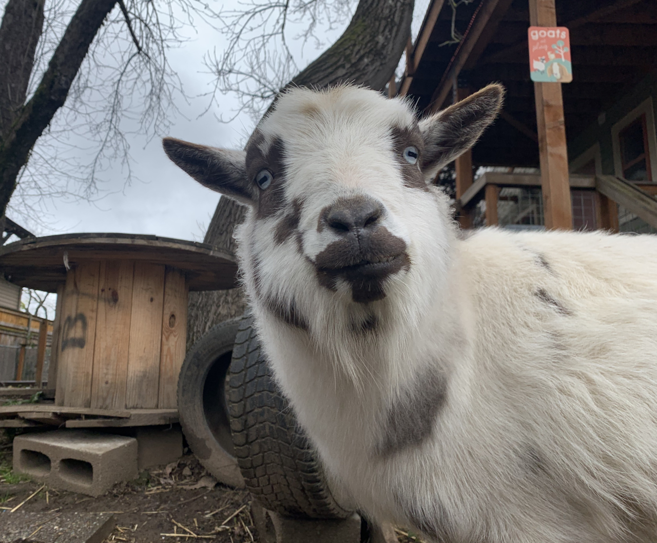 THE UNIVERSE IS VERY LIKELY INFINITE