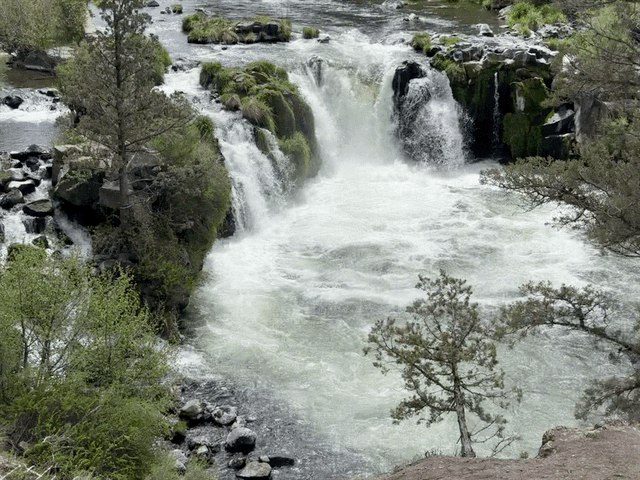 Steelhead Falls